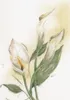 Lanarte Kreuzstich-Stickereiset Calla Lilie Blume Produktbild-Vorschau 2