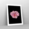 Poster - Poster ohne Rahmen - Hibiskus Blume Rosa - 40x50 Produktbild-Vorschau 7