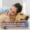 AniForte Calm & Relax Kräuter für Hunde 100g - Natürliche Produktbild-Vorschau 6