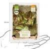 Artikelbild 4 von 'BIO Winterkopfsalat Baquieu' aus der Kategorie Kopfsalatsamen Produktbild-Vorschau