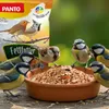 Several small birds are gathered around a bowl of birdseed, with a bag of birdseed in the background. Produktbild-Vorschau