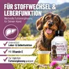REAVET Olio di cardo mariano per cani e cavalli, 250 ml – Anteprima dell’immagine prodotto 2