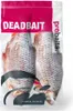 Köderfische Rotauge XL - Vakuumverpackt | 25-35CM | 1-2ST Produktbild-Vorschau 2