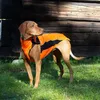 Back on Track Eddie Petite Hundepullover reflektierend Produktbild-Vorschau 8