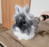 Hundeschermaschine - Set Produktbild-Vorschau 9
