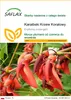 SAFLAX - Karaibski Krzew Koralowy - 6 Nasiona - Erythrina Podgląd zdjęcia produktu 1