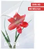 Olympia 1x100 DIN A5 80 micron buste di laminazione 100 Anteprima dell’immagine prodotto 6