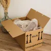 10 Umzugskartons, 600 x 330 x 340 mm, 2-wellig, Hansepack24 Produktbild-Vorschau 6