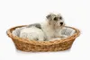 Handgeflochtener Weidenkorb Wikikorb mit Baumwoll-Hundebett Produktbild-Vorschau 1