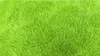 Rasensamen GF Regeneration Grass 1kg Nachsaat Rasen Produktbild-Vorschau 5