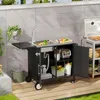 Edelstahl Grilltisch mit Spüle, mobile Outdoor Kücheninsel Produktbild-Vorschau 2