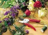 WOLF-Garten 722-3000 Aktion-Gartenschere RR-EN lose, Produktbild-Vorschau 3