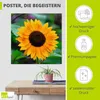 ARTland Poster Sonnenblume Größe: 50x50 cm Produktbild-Vorschau 2
