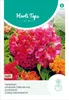 Zwerg-Hahnenkamm Mischung | Blumensamen von Hortitops Produktbild-Vorschau 1