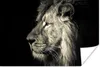 MuchoWow® Poster Löwe - Profil - Porträt 60x40 cm - Produktbild-Vorschau 1