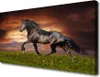 Tulup Leinwand-Bilder 100x50 Wandbild Canvas Kunstdruck Produktbild-Vorschau 1