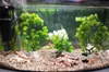 Aquarium Pflanzen Künstlich, 22 cm Künstliche Bonsai, Produktbild-Vorschau 2
