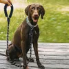 Guinzaglio riflettente rotondo per cani, 3 metri, colore Anteprima dell’immagine prodotto 8