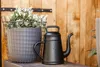A black watering can and a gray wire basket with white flowers are placed on a wooden surface in front of a wooden wall. Anteprima dell’immagine prodotto