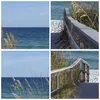 Bilder auf glas - Einteilig - Strand Düne Strecke - Produktbild-Vorschau 8