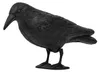 ISO-Tauben- und Vogelabwehrgerät „Rabe“ Produktbild-Vorschau 13
