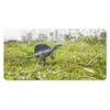 MuchoWow® Mauspad Mousepad Dinosaurier - Gras - Klein 60x30 Produktbild-Vorschau 1