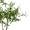 Künstlicher Olivenbaum ca. 105 cm im Blumentopf Produktbild-Vorschau 3