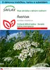 SAFLAX Dárková sada - řebříček - Achillea millefolium - 200 Náhled obrázku produktu 1