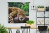 MuchoWow® Wandteppich Wandbehang Jaguar ruht 120x120 cm Produktbild-Vorschau 2