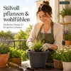 Doniczka Fiona antracyt Ø 30 cm - mrozoodporna i odporna na Podgląd zdjęcia produktu 4