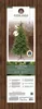 Albero di Natale artificiale Everland, Allison Pine verde, Anteprima dell’immagine prodotto 5