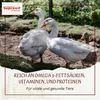 Supravit Getrocknete Garnelen für Hühner & Geflügel 1kg | Produktbild-Vorschau 4