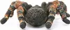 Schleich® Wild Life 14829 Tarantola Anteprima dell’immagine prodotto 4