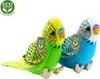 Perruche en peluche à plumes ondulées avec son, 13 cm, Voir les images du produit 11