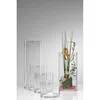 Sandra Rich Vase Cyli zylindr.20,0xØ15,0 cm 801995 Produktbild-Vorschau 4