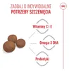 Royal Canin Medium Puppy, Štěně, Střední (11 - 25kg), Náhled obrázku produktu 16