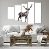 Bild auf Leinwand - Leinwandbild - Liebes Tier Wild Wald - Produktbild-Vorschau 6