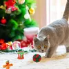 Kattenadventskalender 2026 - 24 dagen tot Kerstmis - 24 Productafbeelding-voorbeeld 6