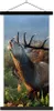 MuchoWow® Textilposter Hirsche - Wald - Nebel 90x180 cm mit Produktbild-Vorschau 1