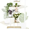 A multi-tiered plant stand with several potted plants on display. Anteprima dell’immagine prodotto