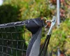 Przenośna siatka do badmintona 3 x 1,5 m sportowa do Podgląd zdjęcia produktu 7