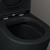 doporro Stand-WC mit Spülkasten komplett schwarz matt inkl. Produktbild-Vorschau 5