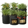Garten Pflanzsack 6er Set XXL | 30 Liter | Mit Sichtfenster Produktbild-Vorschau 1
