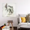 ARTland Poster Katzenporträt weiß Größe: 40x40 cm Produktbild-Vorschau 5