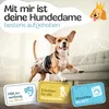 HUND IST KÖNIG Windeln für Hündinnen [3 Stk], S (Taille Produktbild-Vorschau 2