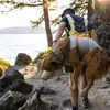 Ruffwear BackTrak™ Evakuierungsset für Hunde Cloudburst Produktbild-Vorschau 6