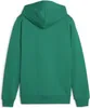 Puma Teamgoal Kapuzenpullover Kinder - Grün Produktbild-Vorschau 2