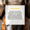 MuchoWow® - Leinwandbilder - Elefant - Porträt - Tier, Produktbild-Vorschau 8
