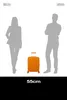 American Tourister trolley Fastforward Spinner 55 / 20 TSA Voir les images du produit 10