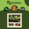 Repiterra® Terrarium Seitenbelüftung Holzterrarium OSB Holz Produktbild-Vorschau 5